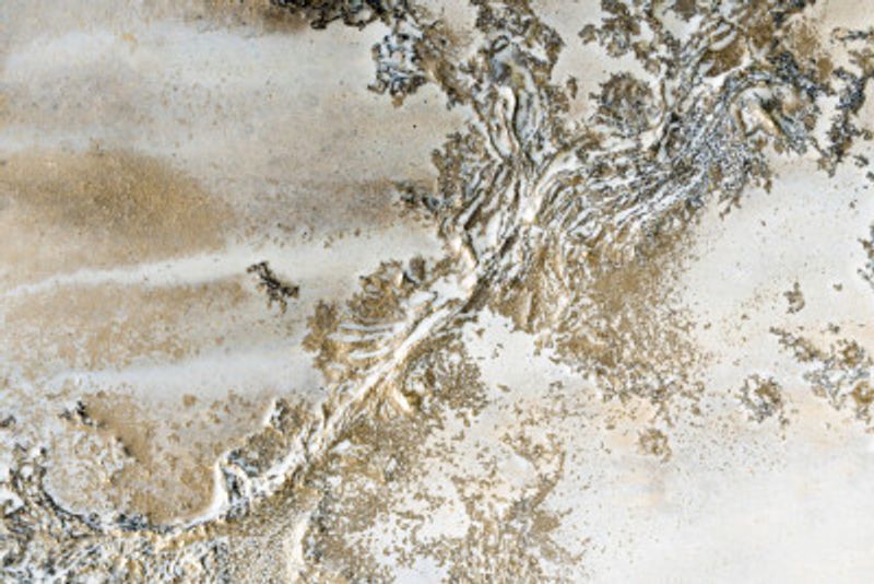 Timeless - Entwined Gold