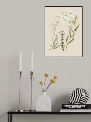 Veronica Drawn By Sarah Featon (1848–1927)