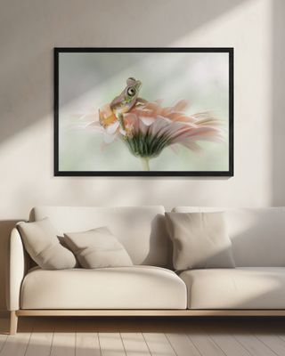 Lemur Frog on a Gerbera  Flower