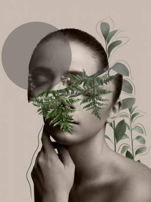 LILI Collection Creative Art Series