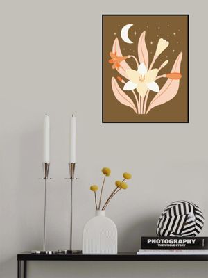 Moonlight Warm Clivia Lily