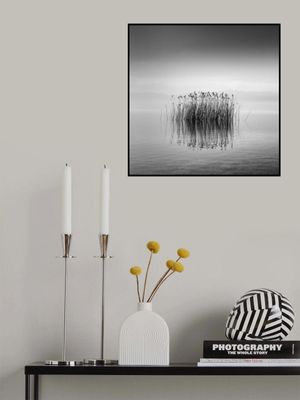 Black and White Silence