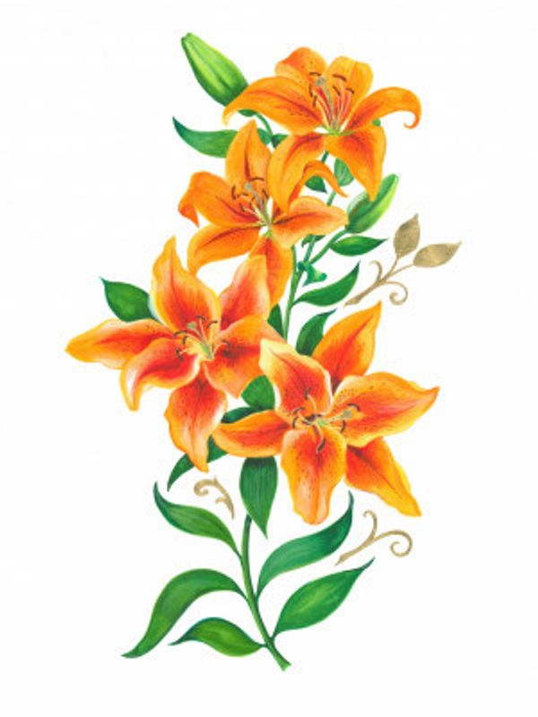 Lush Orange Lilies