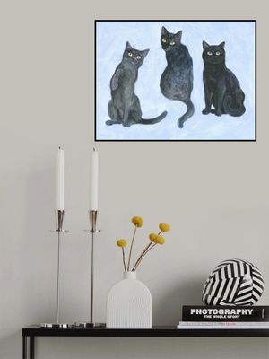 Three Cats study