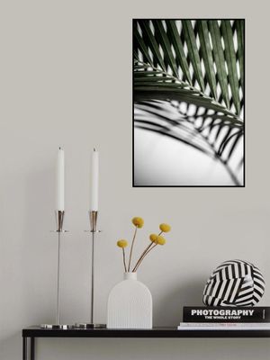 Vibrant Green Palm Leaf