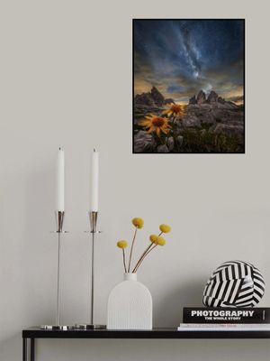 Even the flowers seem to be fascinated by the stars