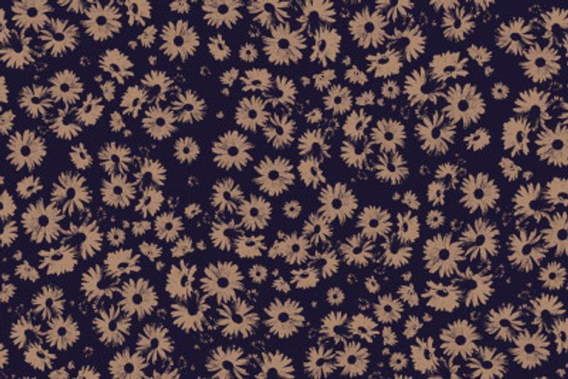 Flowers At Dawn Nº2