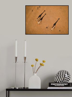 Walking under Sunset