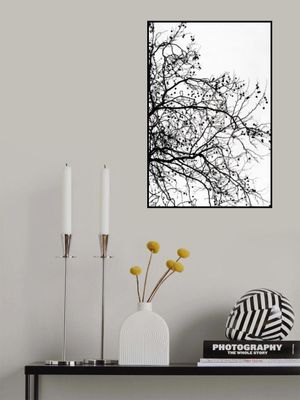 Winter Silhouettes 5