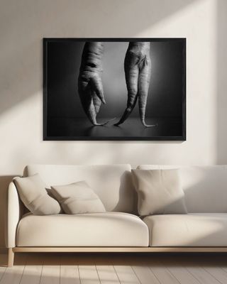 Just a still life photo with two carrots. Nothing else.