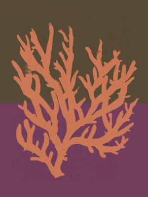 Coral Silhouette