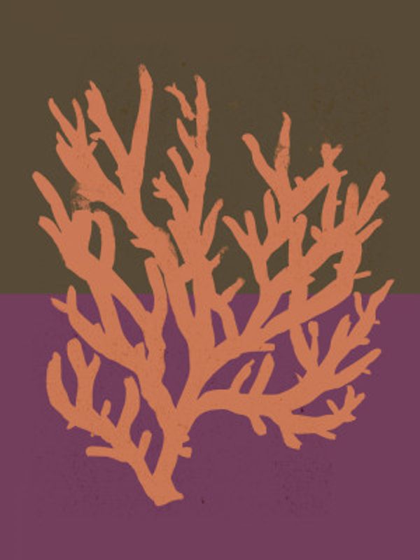 Coral Silhouette