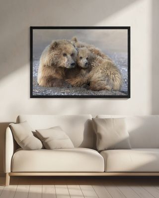 Momma Bear and Cub Aware