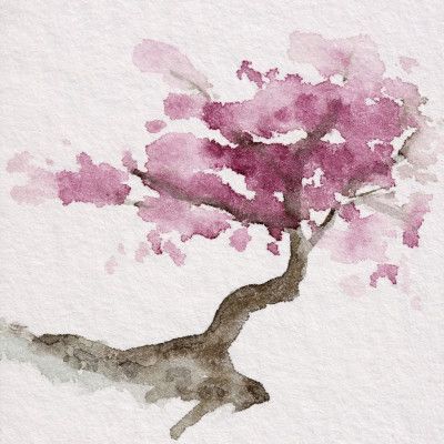 Japanese Tree With Pink Cherry Blossoms
