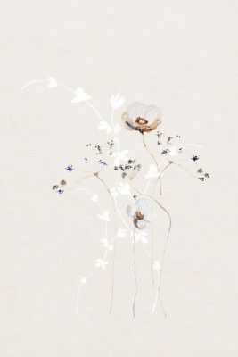 Ethereal Flowers With Subtle Hues