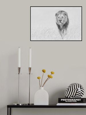 The King of The Prairie