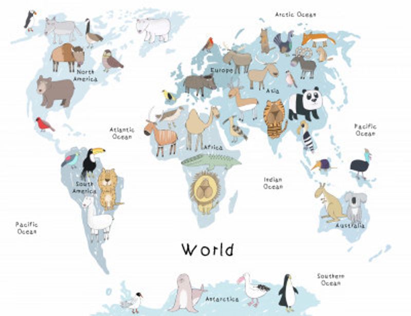 Illustrated Map of the World with Cute Animals