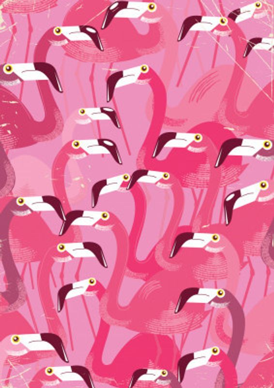 Flock of Flamingos