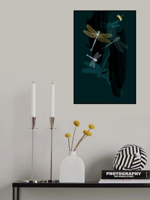 Midnight Dragonflies