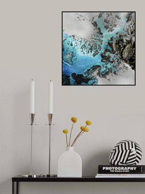 Most Popular - Maritime Majesty - Turquoise Coral Vibes