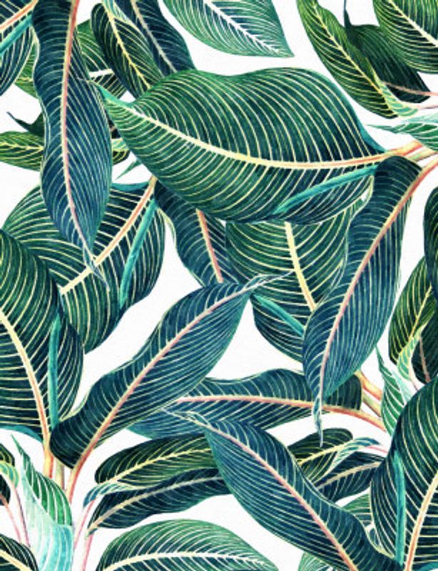 Edge and Dance Botanical