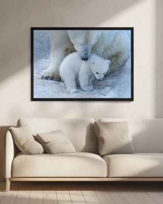 Polar bear portrait