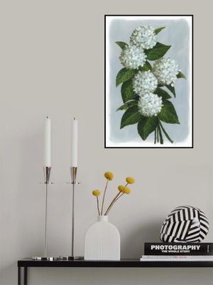 Bluma hydrangea bouquet