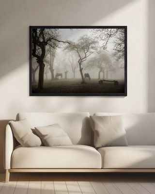 Horses in a foggy orchard