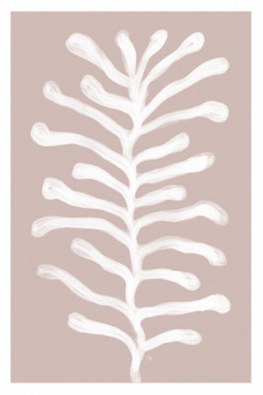 White Coral Form