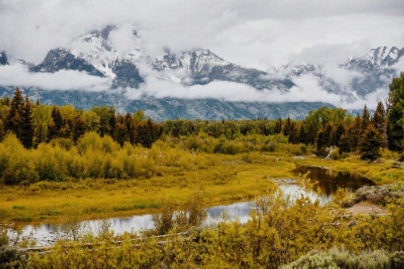 Schwabacher Landing Mist II