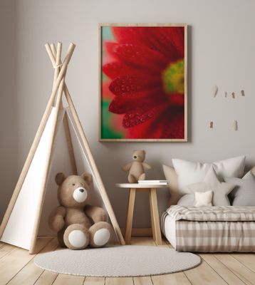 Red Flowers In Soft Focus