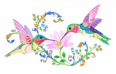 Two Humming Birds