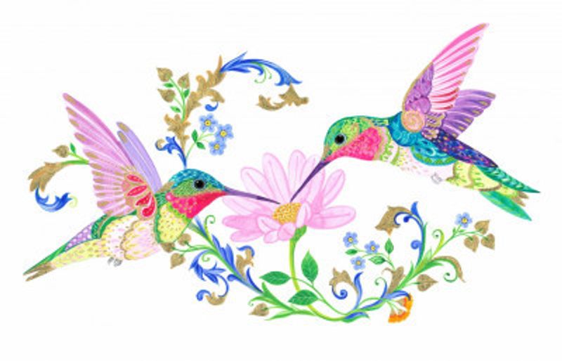 Two Humming Birds