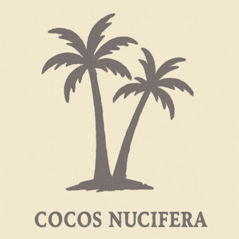 Cocosnucifera(light)