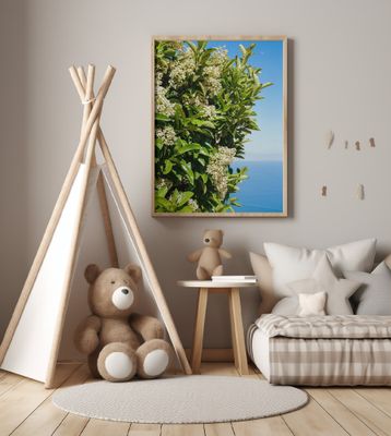 Amalfi Coast Flowers IV on Film