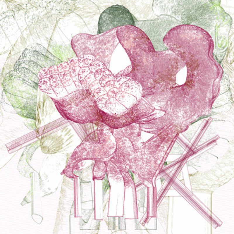 Tectumque 2.0 series