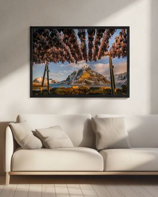 Stockfish in Lofoten