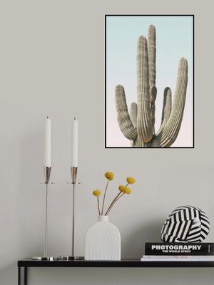 Saguaro