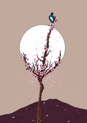 Cherry Blossom Tree