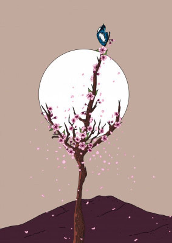 Cherry Blossom Tree