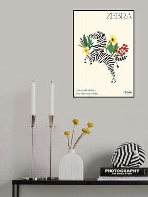 ZEBRA. Zebra Collection