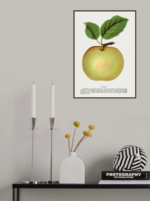 Mann Apple Lithograph