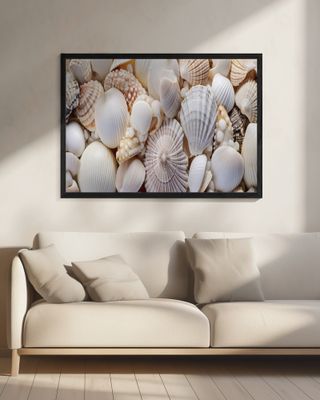 Seashell Symphony