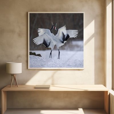 Red-crowned Crane dance