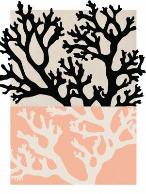 Coral Silhouettes
