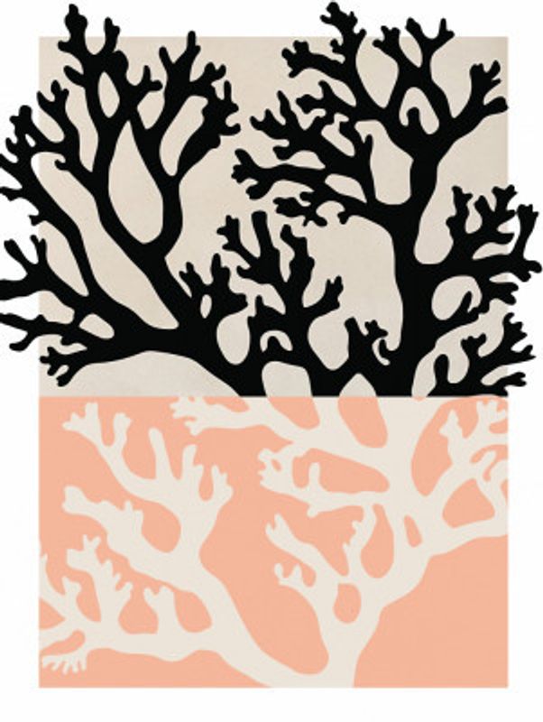 Coral Silhouettes