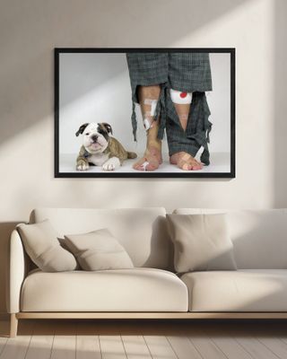 Get A Puppy, They Said