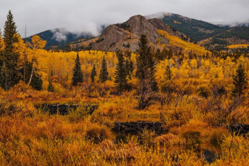 Jefferson Campground