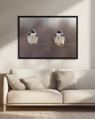 Birds on a wire