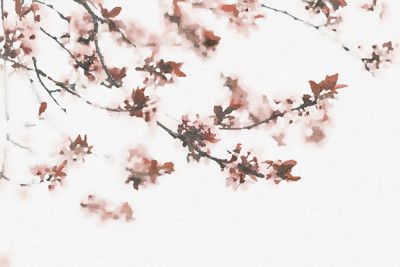 Toffee Cherry Flowers